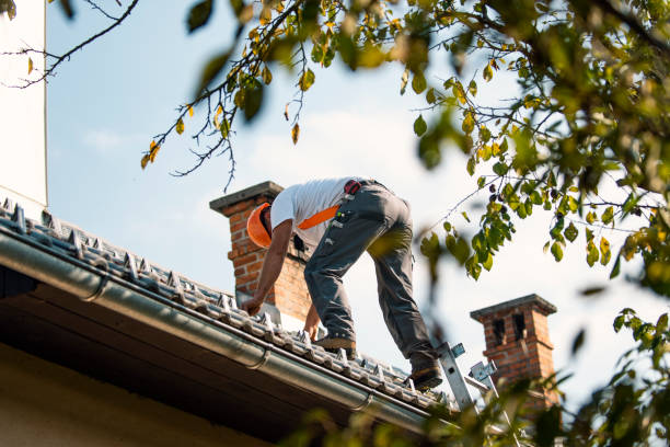 Best Storm Damage Roof Repair  in Racine, WI