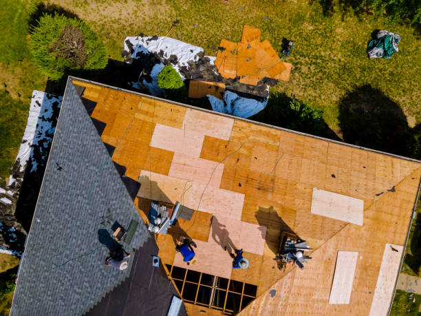 Best Roof Gutter Cleaning  in Racine, WI